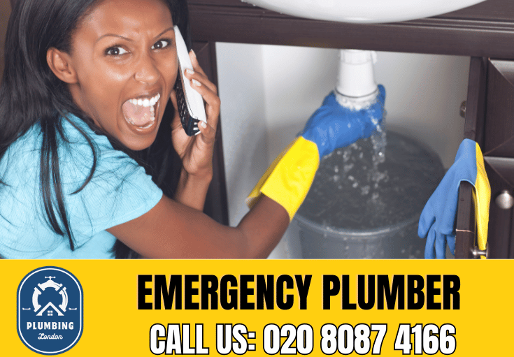 emergency plumber Finsbury Park