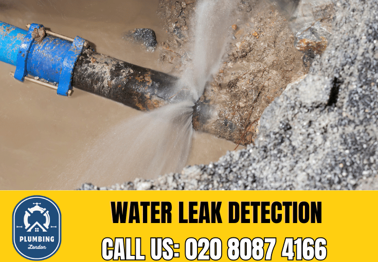 leak detection Finsbury Park